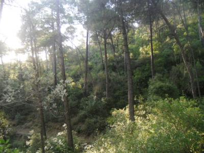 DESCANSO ACTIVO: CIRCULAR PEÑA DEL OLIVAR